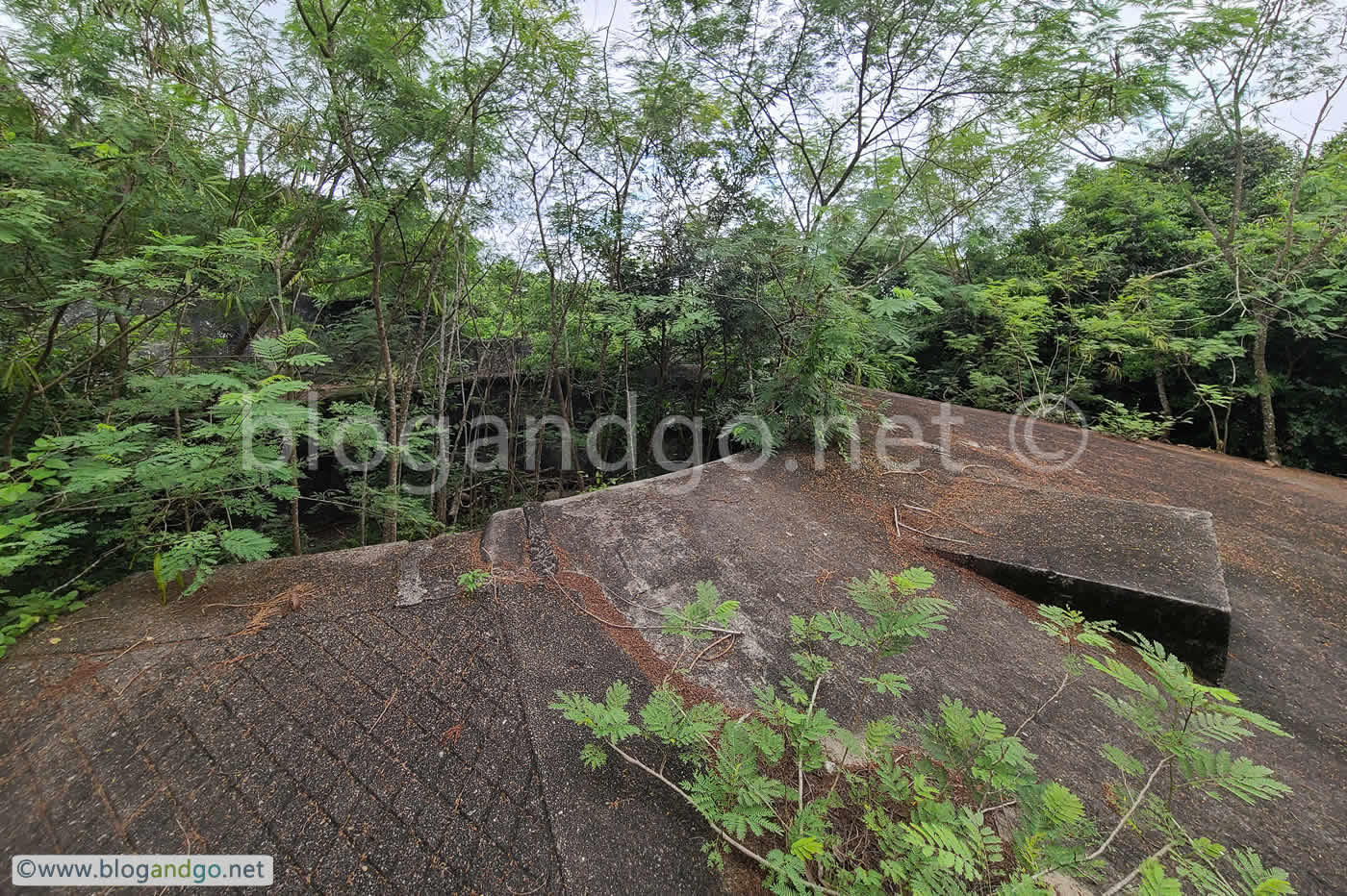 Mount Davis Battery - Gun Emplacement